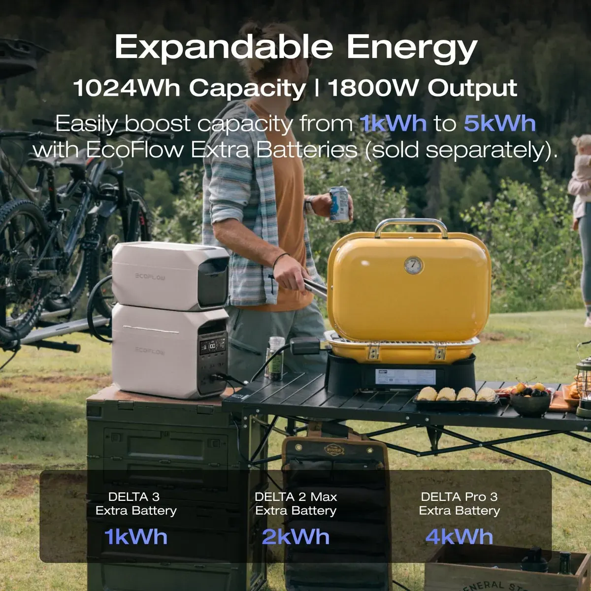 EcoFlow DELTA 3 Plus Portable Power Station